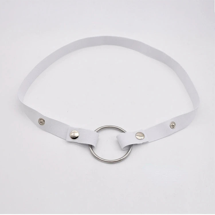 Universal chastity cage belt